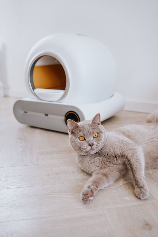 Elektrische kattenbak