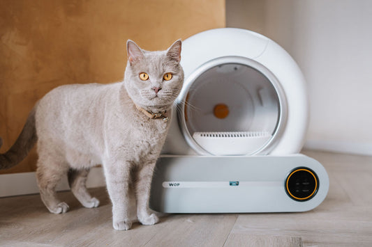 Automatische kattenbak reiniger