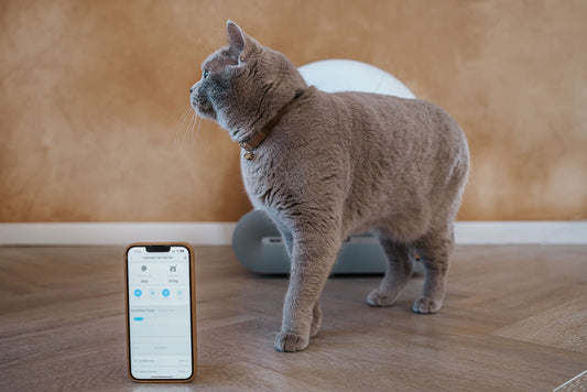 Beste automatische kattenbak