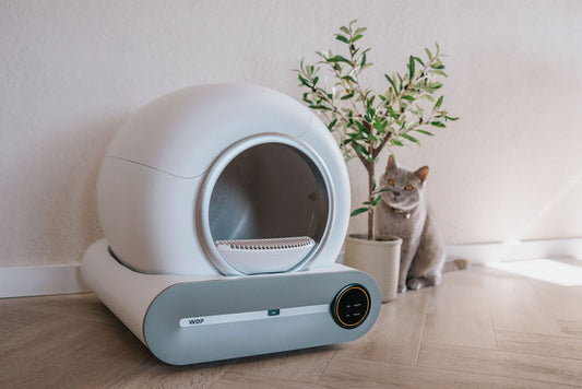 Automatische kattenbak review