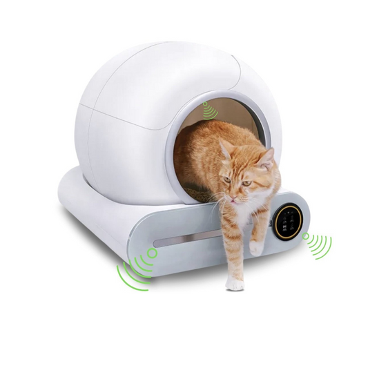 Beste zelfreinigende kattenbak 2024