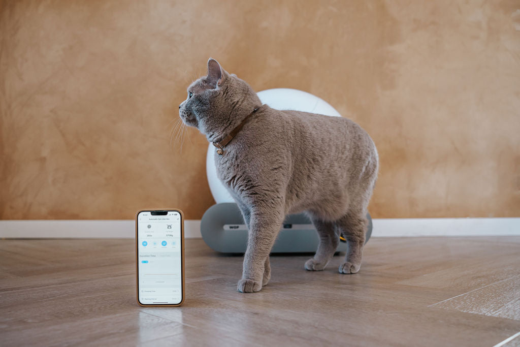 WOP XXL automatische kattenbak met kat en bediening via de app