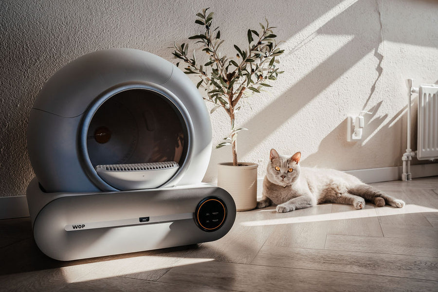 WOP XXL zelfreinigende kattenbak van Kattoilet