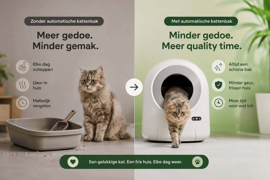 Vergelijking tussen een gewone kattenbak en een automatische kattenbak: minder scheppen, minder geur en vaker een schone bak